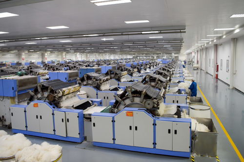 经济 内蒙古鄂尔多斯 羊绒制品加工忙