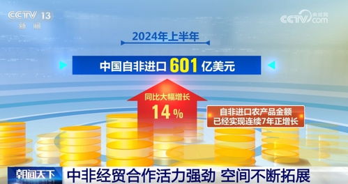 中非经贸合作稳步发展 活力强劲 空间广阔 多领域迎来新成果 新机遇