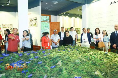 国际茶日 南平好茶 世界共享——南平市茶文化茶产业国际交流合作研讨会圆满举办