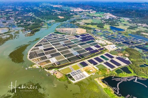 引领合浦养殖业发展 开辟桂台农业交流新渠道——2023年两岸媒体人广西行参访台资企业鲔丰水产南平经济协作纪实