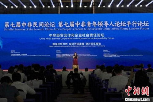 300名中外代表长沙共议中非经贸合作新篇章 聚焦南南经济协作与企业社会责任