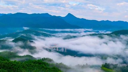 厦沙高速全线通车 闽中动脉贯通，山海画廊启新程