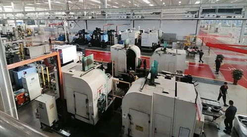 速度噌噌！数字引擎赋能，看智能南平如何跑出区域经济协作新速度